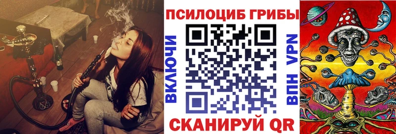 Купить где  Котлас  Псилоцибиновые грибы мицелий 